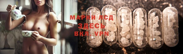ПСИЛОЦИБИНОВЫЕ ГРИБЫ Карталы