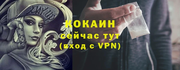 ПСИЛОЦИБИНОВЫЕ ГРИБЫ Карталы