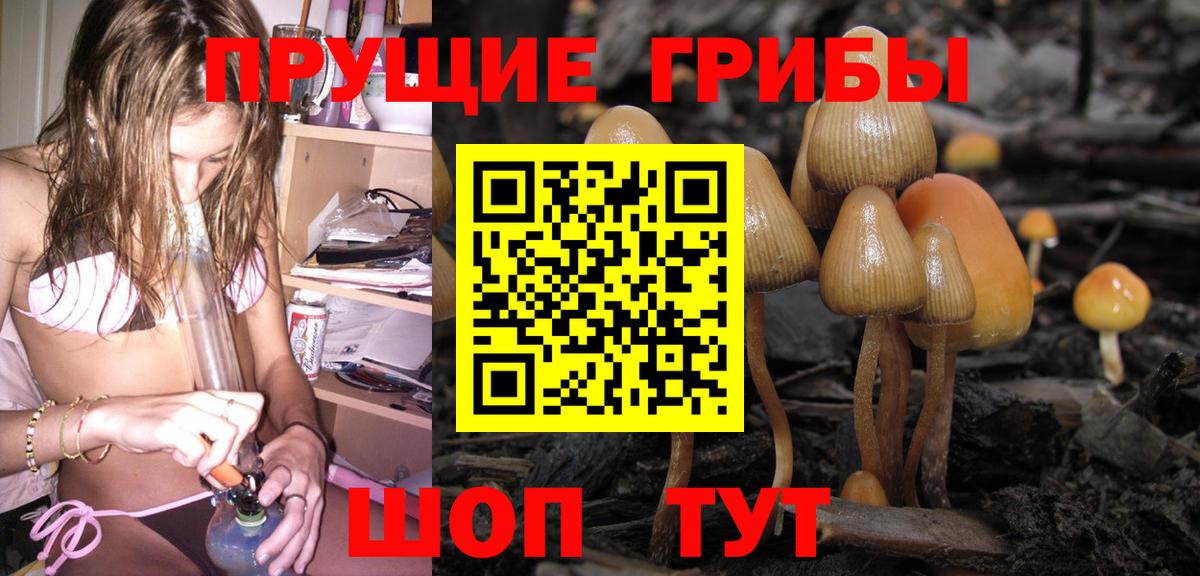 Галлюциногенные грибы Magic Shrooms Кстово