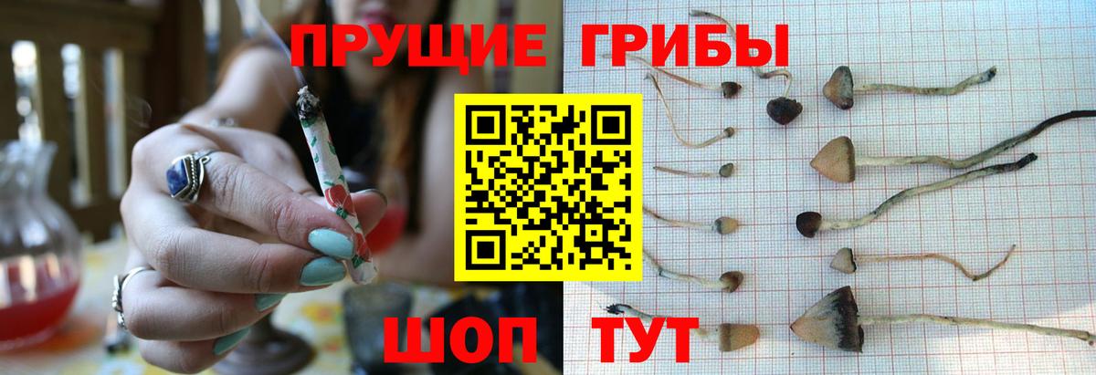 Псилоцибиновые грибы Cubensis  Галлюциногенные грибы Magic Shrooms  Кстово  Вход с VPN 