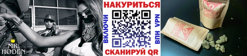 Бошки Шишки планчик Кстово